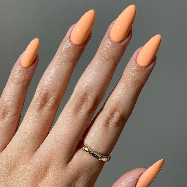 #colour_honey apricot